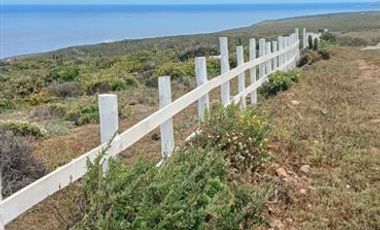 Parcela en Venta en Kilometro 328, Ruta 5 norte