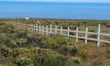 Parcela en Venta en Kilometro 328, Ruta 5 norte