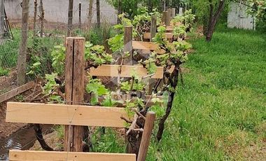 Parcela en Venta en Camino San Ignacio