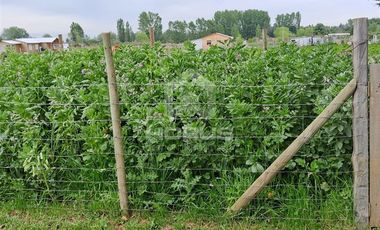 Parcela en Venta en Camino San Ignacio