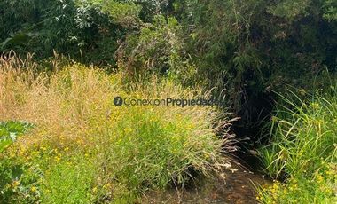 Sitio en Venta en VENTA PARCELA CON BOSQUE Y ARROYO EN CONDOMINIO CONSOLIDADO/ A 5 MIN DEL CENTRO DE FRUTILLAR