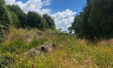 Sitio en Venta en VENTA PARCELA CON BOSQUE Y ARROYO EN CONDOMINIO CONSOLIDADO/ A 5 MIN DEL CENTRO DE FRUTILLAR