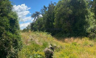 Sitio en Venta en VENTA PARCELA CON BOSQUE Y ARROYO EN CONDOMINIO CONSOLIDADO/ A 5 MIN DEL CENTRO DE FRUTILLAR