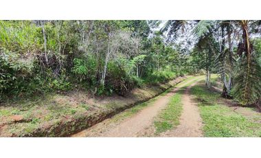 LOTE EN VENTA EN DAPA  ALTO DAPA C-AG 7229149