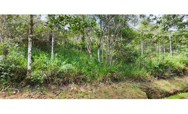 LOTE EN VENTA EN DAPA  ALTO DAPA C-AG 7229149