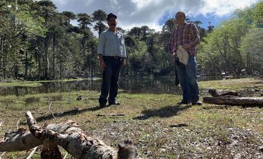 Sitio en Venta en melipeuco