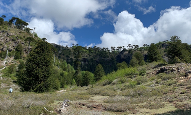 Sitio en Venta en melipeuco