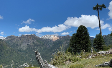 Sitio en Venta en melipeuco