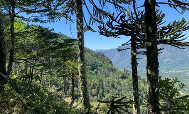 Sitio en Venta en melipeuco