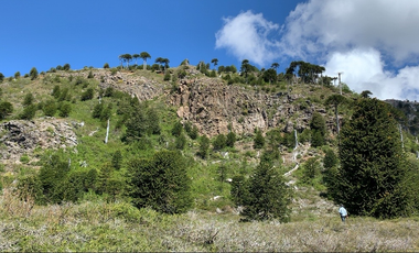 Sitio en Venta en melipeuco