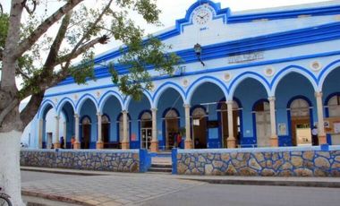 Terrenos Industriales en Venta en Park 24