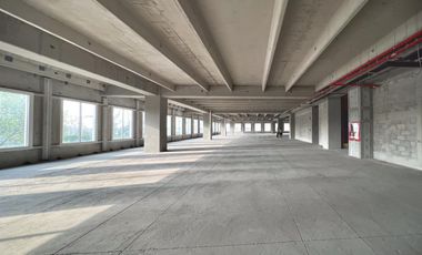 VENTA O RENTA DE EDIFICIO SUSTENTABLE EN TOREO PARA OFICINAS, COMERCIAL, HOSPITAL