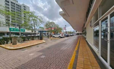 LOCAL COMERCIAL EN EL DORADO CAMINO DE CRUCES 247M2  PLANTA BAJA