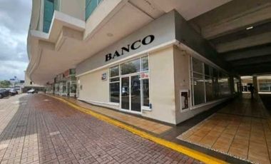 LOCAL COMERCIAL EN EL DORADO CAMINO DE CRUCES 247M2  PLANTA BAJA