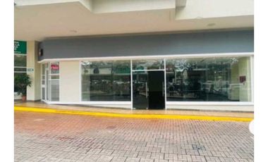 LOCAL COMERCIAL EN EL DORADO CAMINO DE CRUCES 247M2  PLANTA BAJA