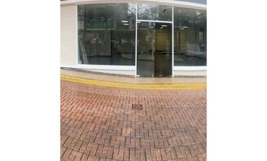 LOCAL COMERCIAL EN EL DORADO CAMINO DE CRUCES 247M2  PLANTA BAJA