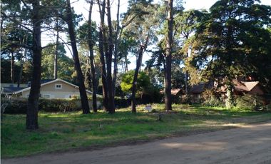 Lote Rosales y Cabral