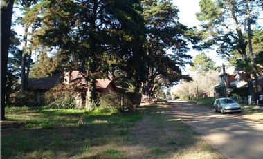 Lote Rosales y Cabral