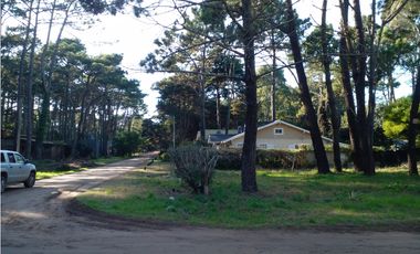 Lote Rosales y Cabral