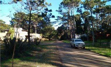 Lote Rosales y Cabral