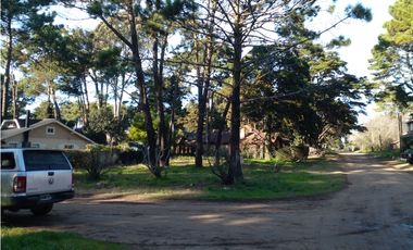 Lote Rosales y Cabral