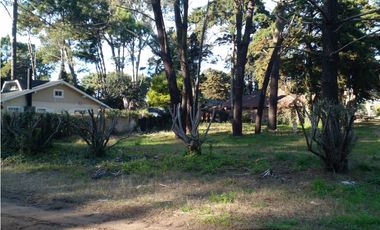 Lote Rosales y Cabral