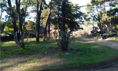 Lote Rosales y Cabral