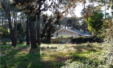 Lote Rosales y Cabral