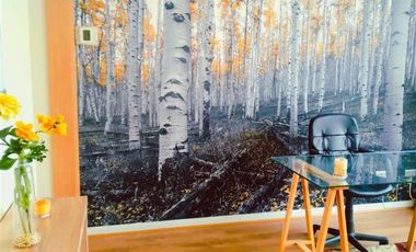 Oficina en Venta en LAS CONDES/ CANTAGALLO