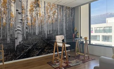 Oficina en Venta en LAS CONDES/ CANTAGALLO