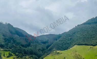 VENDO MAGNIFICO LOTE MACADAMIA DEL RIO LA CALERA