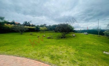 VENDO MAGNIFICO LOTE MACADAMIA DEL RIO LA CALERA