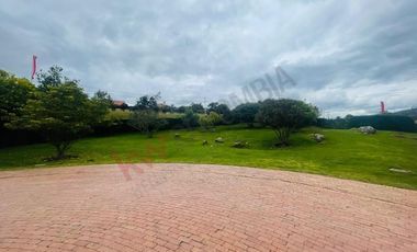 VENDO MAGNIFICO LOTE MACADAMIA DEL RIO LA CALERA