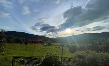 VENDO LOTE DE OPORTUNIDAD RURAL LA CALERA