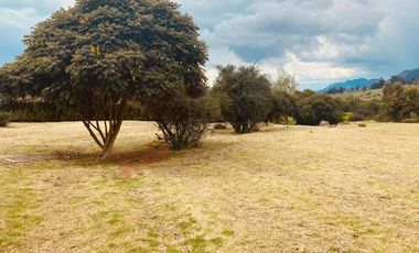 VENDO LOTE MACADAMIA DEL RIO LA CALERA