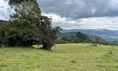 Venta Finca en la vereda Salitre Alto en Guasca Cundinamarca-5876