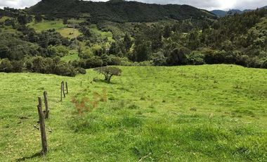 Venta Finca en la vereda Salitre Alto en Guasca Cundinamarca-5876