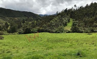 Venta Finca en la vereda Salitre Alto en Guasca Cundinamarca-5876