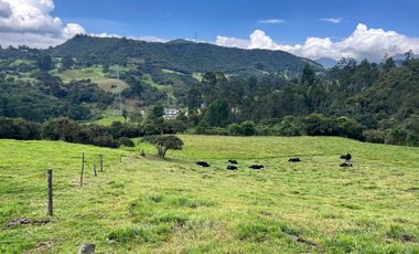 Venta Finca en la vereda Salitre Alto en Guasca Cundinamarca-5876