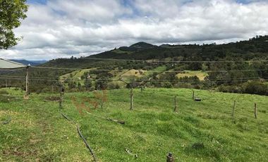 Venta Finca en la vereda Salitre Alto en Guasca Cundinamarca-5876