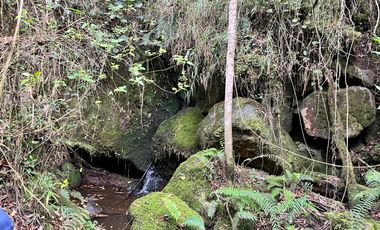 Venta Finca en la vereda Salitre Alto en Guasca Cundinamarca-5876