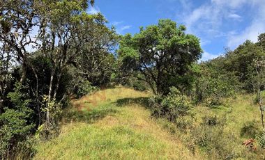 Lote en La Calera ideal para Glamping 7 Hectareas y Espectacular Vista-8274