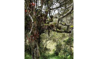 Lote en La Calera ideal para Glamping 7 Hectareas y Espectacular Vista-8274