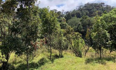 Lote en La Calera ideal para Glamping 7 Hectareas y Espectacular Vista-8274