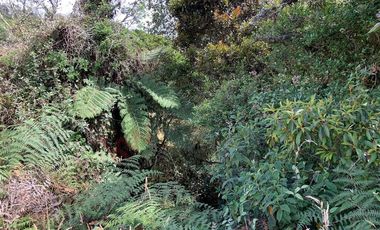 Lote en La Calera ideal para Glamping 7 Hectareas y Espectacular Vista-8274