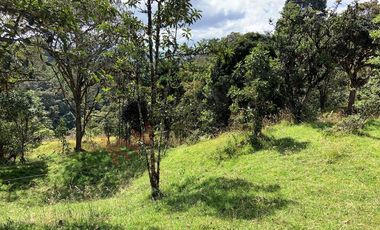 Lote en La Calera ideal para Glamping 7 Hectareas y Espectacular Vista-8274