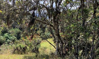 Lote en La Calera ideal para Glamping 7 Hectareas y Espectacular Vista-8274