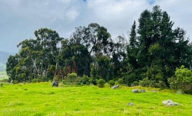 VENDO MAGNIFICO LOTE CONJUNTO GRANADA Y CAYUNDA