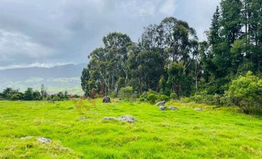 VENDO MAGNIFICO LOTE CONJUNTO GRANADA Y CAYUNDA