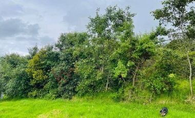 VENDO MAGNIFICO LOTE CONJUNTO GRANADA Y CAYUNDA